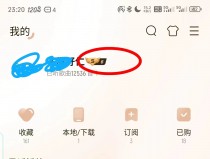 音乐软件推荐：开启个性化音乐之旅