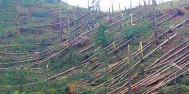 美国“承认外星人存在”引爆热议:那些跨越世纪的UFO未解之谜